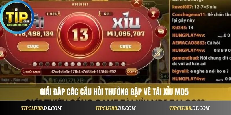 Giải đáp các câu hỏi thường gặp về Tài Xỉu MD5