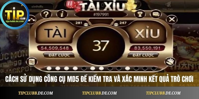 Cách sử dụng công cụ MD5 để kiểm tra và xác minh kết quả trò chơi