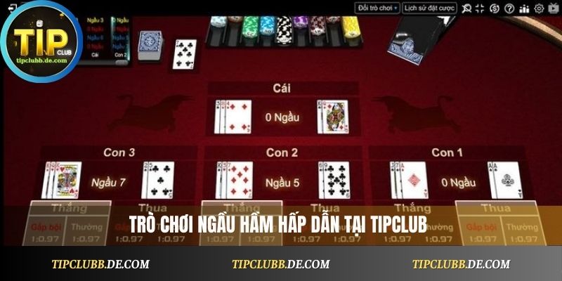 Ngầu Hầm Tipclub