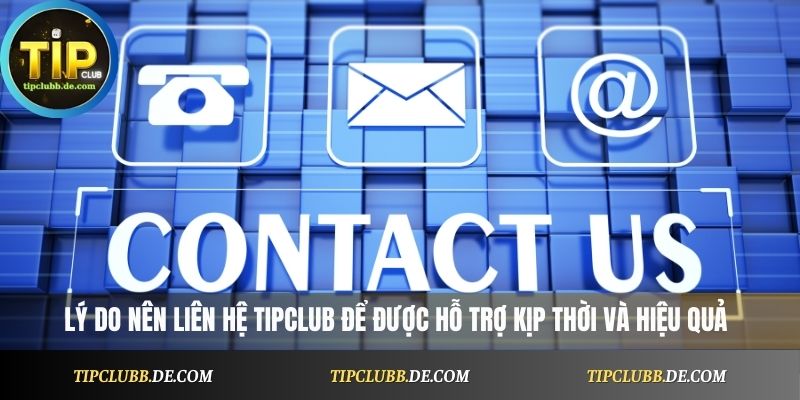 Lý do nên liên hệ Tipclub để được hỗ trợ kịp thời và hiệu quả