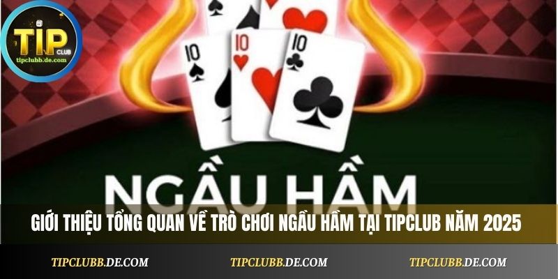 Giới thiệu tổng quan về trò chơi Ngầu Hầm tại Tipclub năm 2025