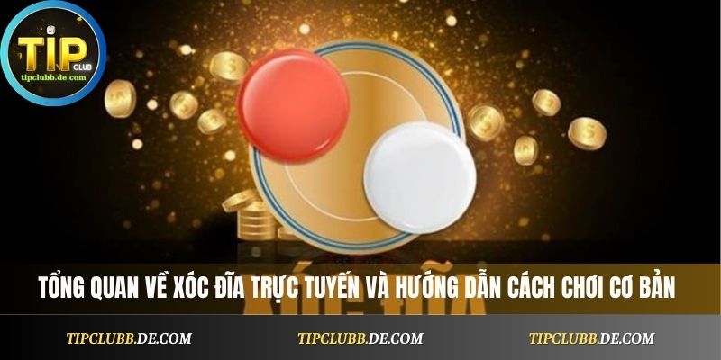 tổng quan về Xóc Đĩa trực tuyến và hướng dẫn cách chơi cơ bản